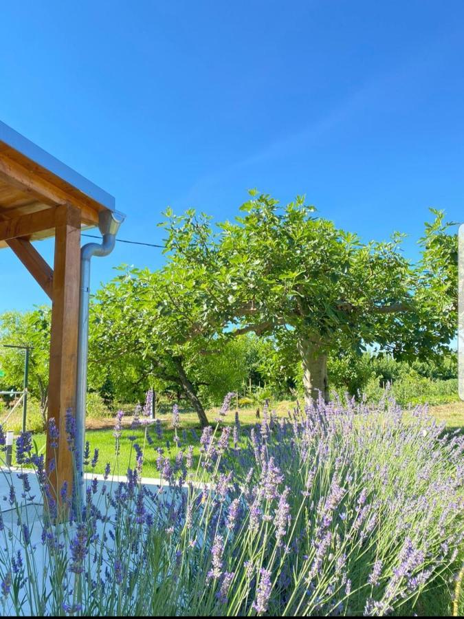 Holiday House Lucia Sukošan 외부 사진